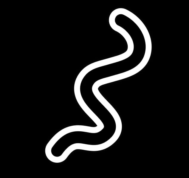 باپت - سرویس آموزش و تربیت