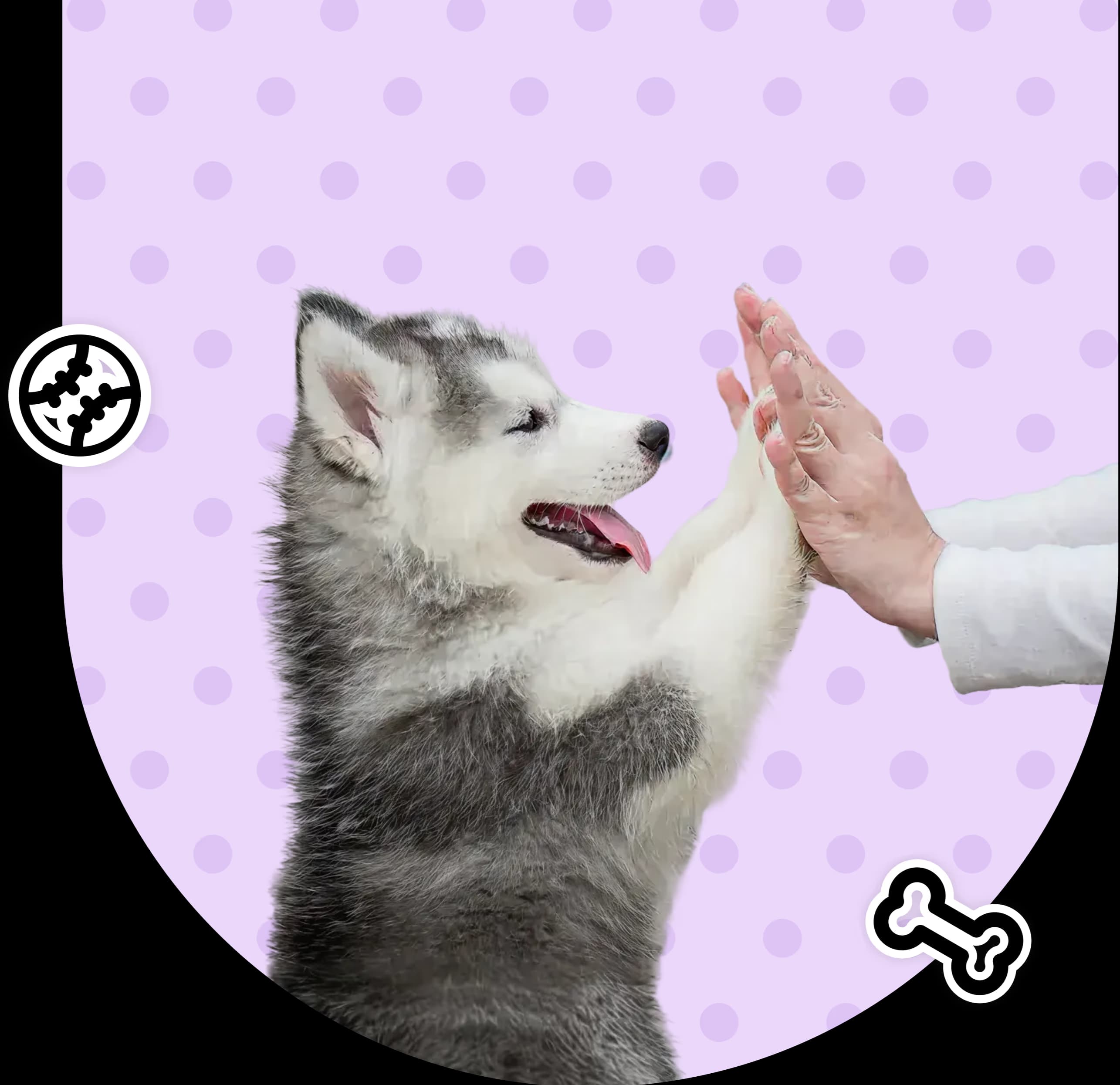 آموزش و تربیت