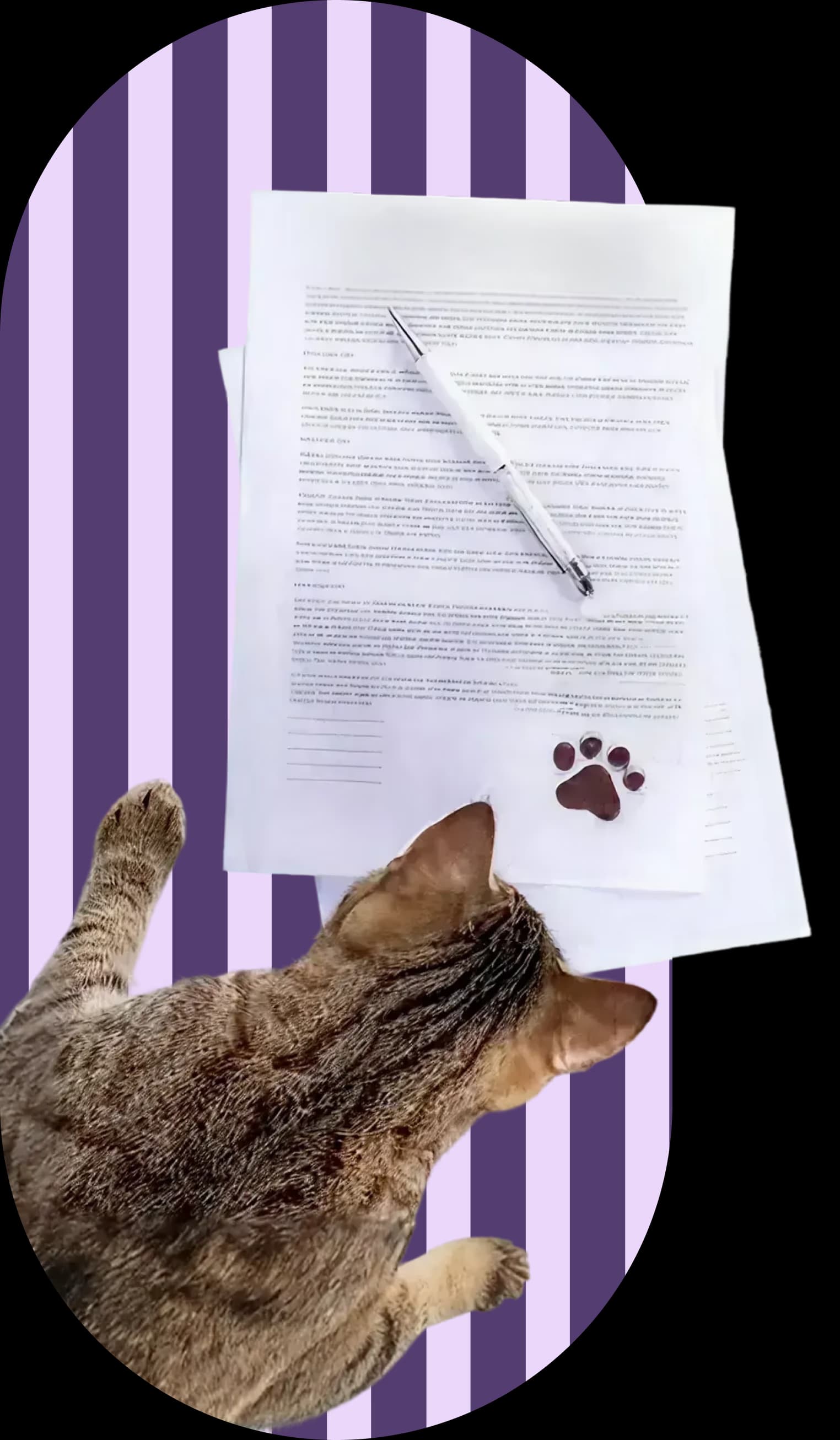 آموزش و تربیت