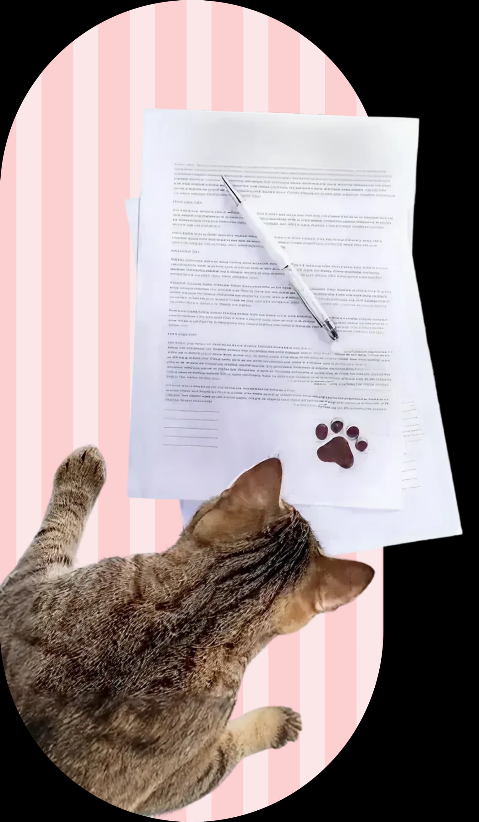 آرایش و شست و شو