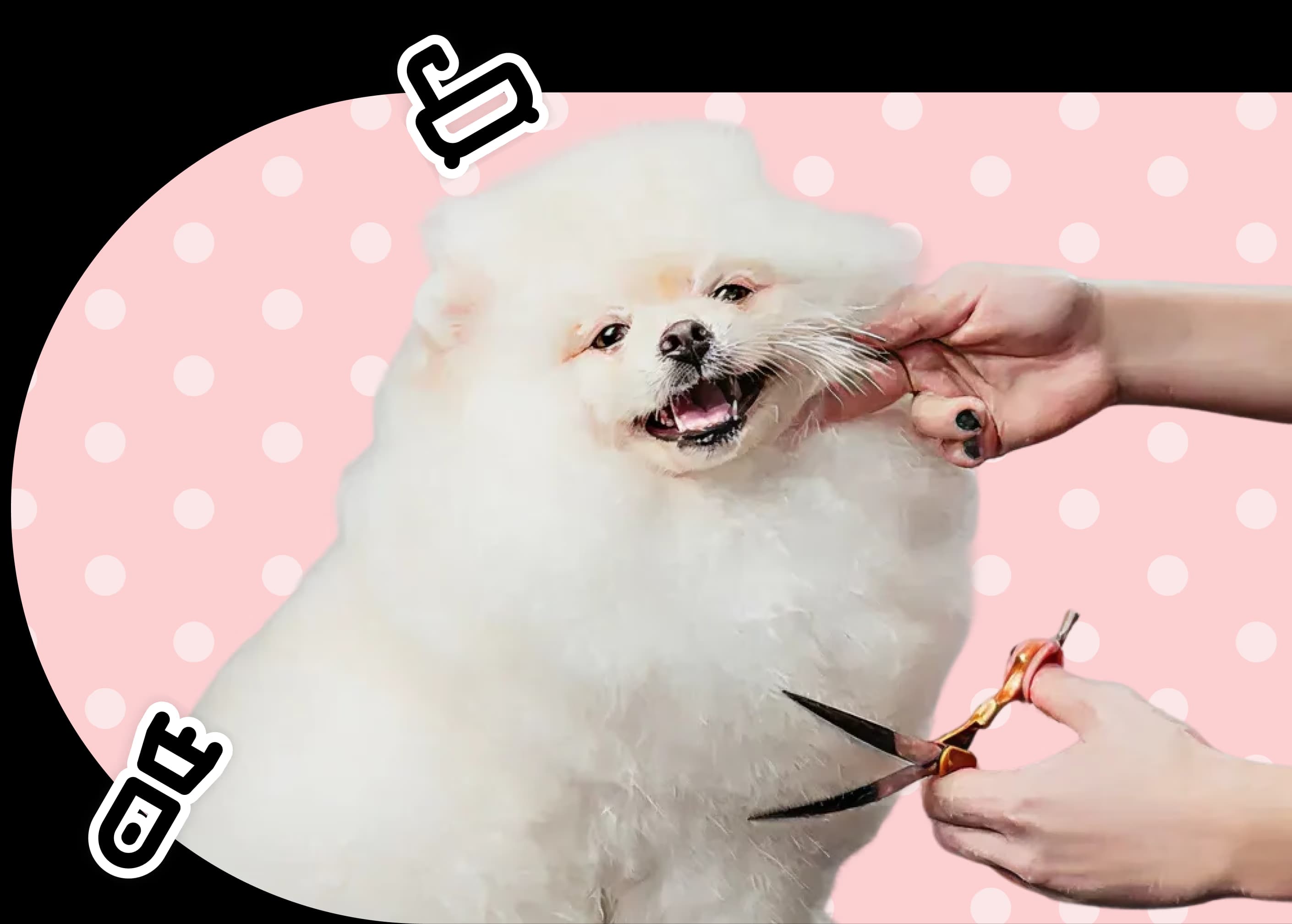 آرایش و شست و شو